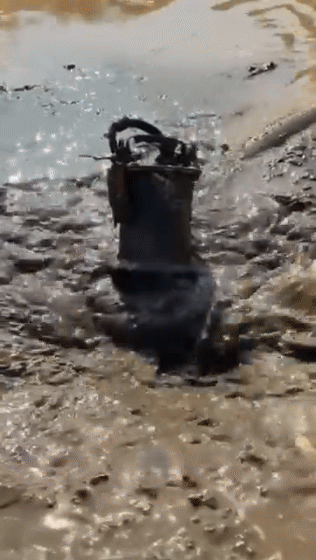 🔥 WQ Submersible Sewage Pump – Powerful Water Drainage Solution! 💧⚡