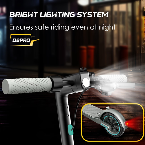 Foldable Electric Scooter 350W Motor