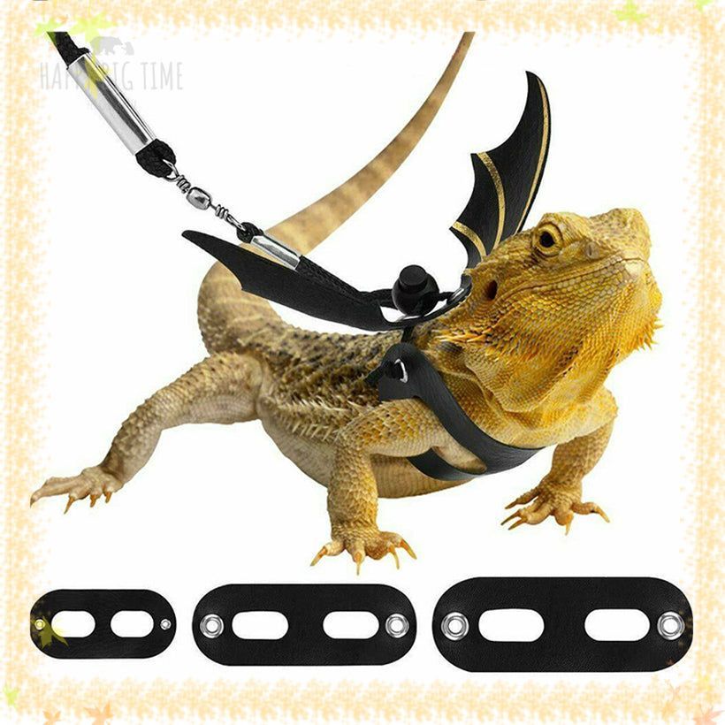 Lizard Leash Reptile Harness for Outdoor Pet Chameleon Squirrel