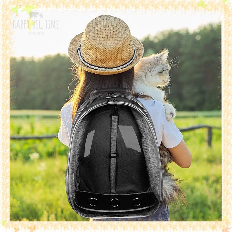 Lightweight Expandable Cat Carrier Clear Bubble Backpack Cat Tote Knapsack Airline Approved Capsule Design