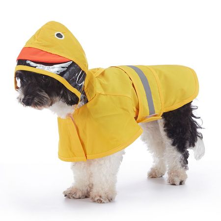 Kit Anti-Pluie pour Chien｜Manteau + Parapluie pour Promenade