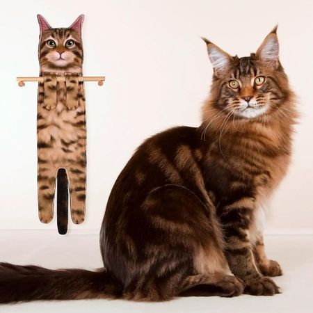 Serviette Décorative Chat – Douceur et Élégance pour Votre Intérieur