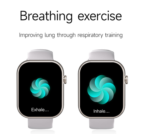 33 A230+ Bluetooth Call Smart Watch