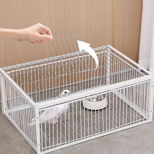 AutoTrap Bird Cage - Entry Only, No Exit, With Base🎄🔥⏰✨🚀50% time limit🚀 Ghana cash on delivery⏰
