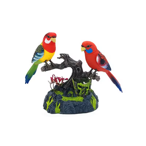 🐦Talking Parrots Birds
