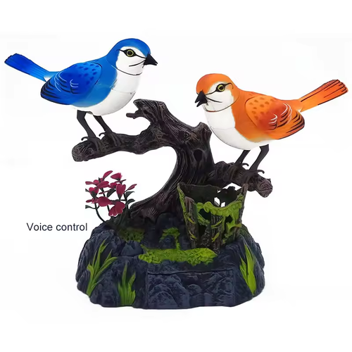🐦Talking Parrots Birds