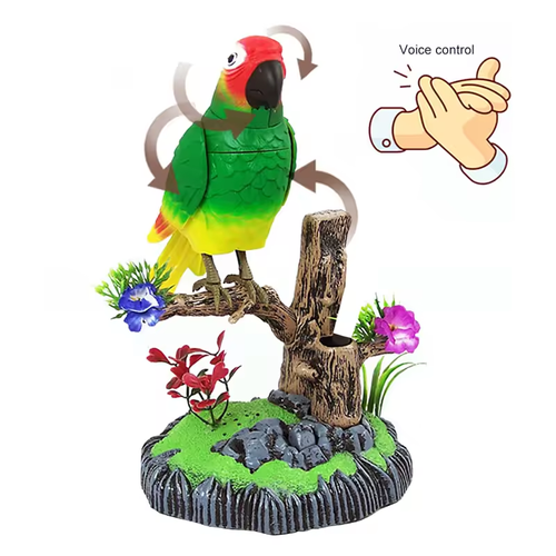 🐦Talking Parrots Birds