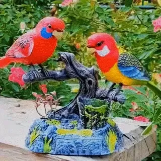🐦Talking Parrots Birds
