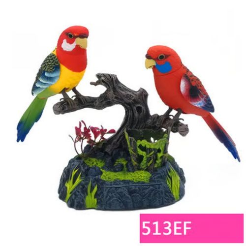 🐦Talking Parrots Birds