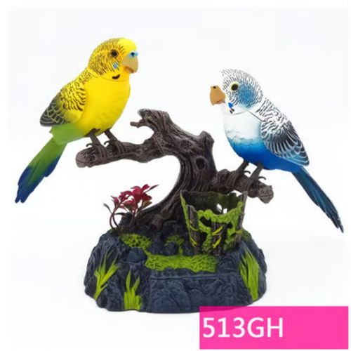🐦Talking Parrots Birds