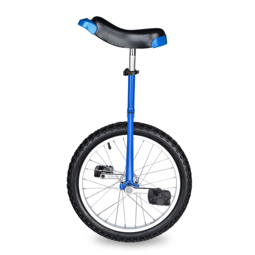 Unicycle