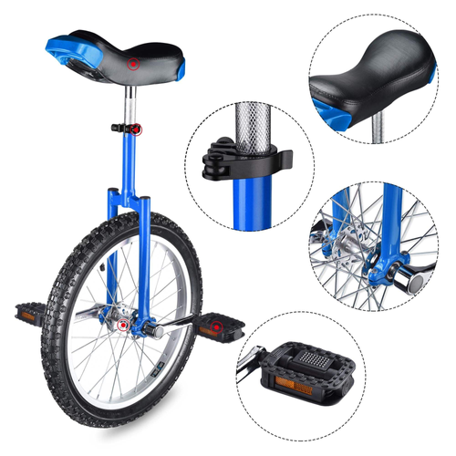 Unicycle