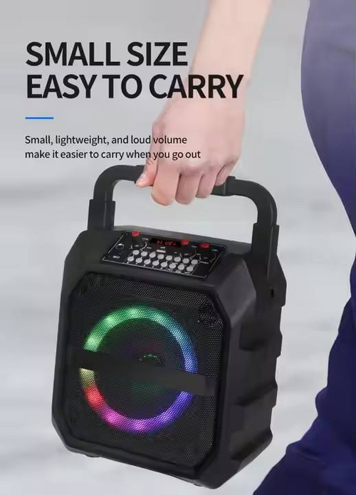 2 Microphones Wireless Karaoke Machine