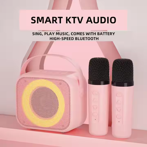 Karaoke Speaker with 2 Microphones