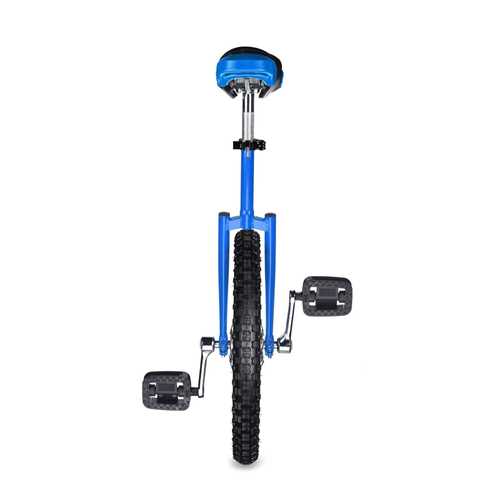Unicycle