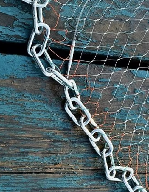 Cast Net