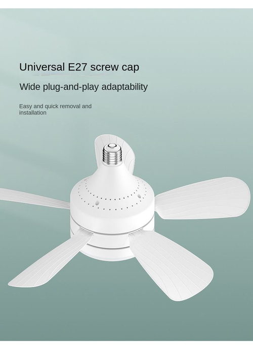 Ceiling Fan with Light