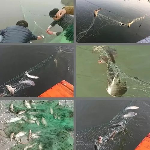 3-Layer Fine Fish Net with Floating Bobber - 30M
