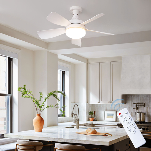Ceiling Fan with Light