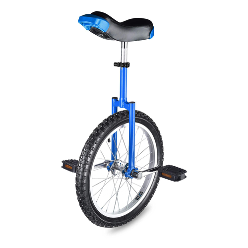 Unicycle