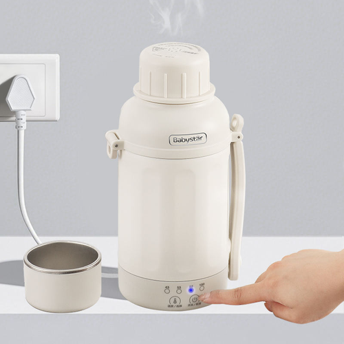 Portable Electric Kettle