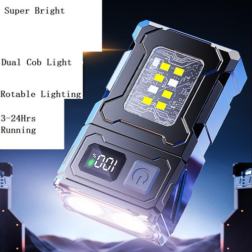 Outdoor Portable Light