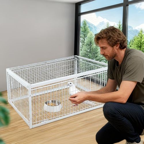 😱🕊️ Genius Trap Cage Design! 🕊️ Only Entry, No Exit🦅