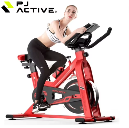 Indoor Fitness Reduce Weight Equipment and Home Silent Cycling Spinning Gym Exercise Spin Bike