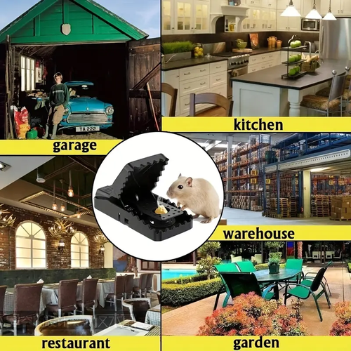 Indoor Outdoor Use, Small Mice Catchers for Home Indoor, Reusable Mice Trap, Quick-Set Mousetraps for House