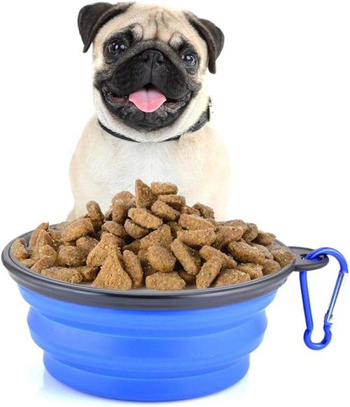 TPE Portable Pet Collapsible Dog Cat Bowl Silicone Collapsible Pet Bowl