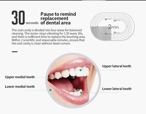 Powerful Deep Clean Sonic Toothbrush for Home & Travel