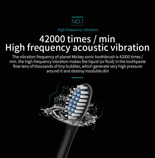 Powerful Deep Clean Sonic Toothbrush for Home & Travel