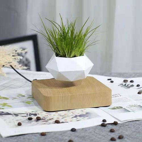 Magnetic Levitation Planter