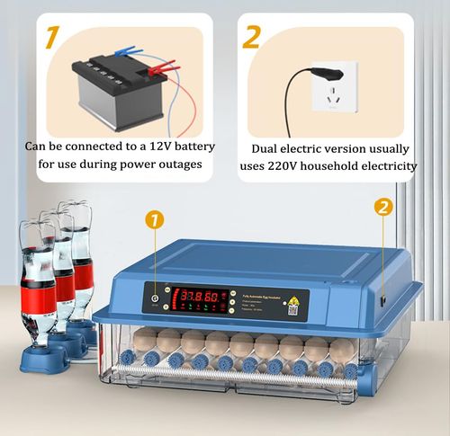 98 Eggs Incubator Small Household Automatic Intelligent Incubator Poultry Waterbed Incubators And Temperature Controler