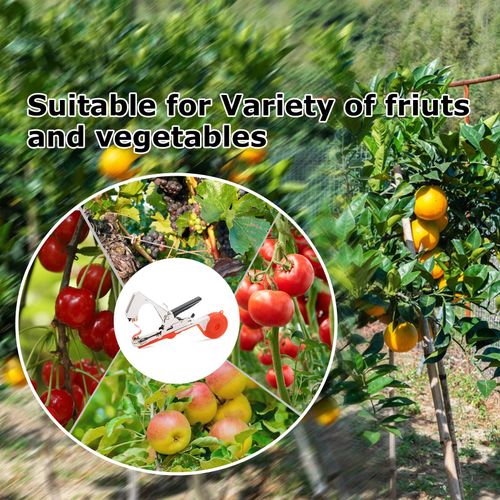 Plant Tying Machine with 10 Rolls Tape Vegetable Tying Gun for Vine, Tomato, Plants