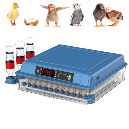 98 Eggs Incubator Small Household Automatic Intelligent Incubator Poultry Waterbed Incubators And Temperature Controler