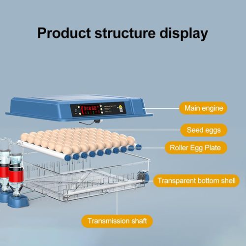 98 Eggs Incubator Small Household Automatic Intelligent Incubator Poultry Waterbed Incubators And Temperature Controler