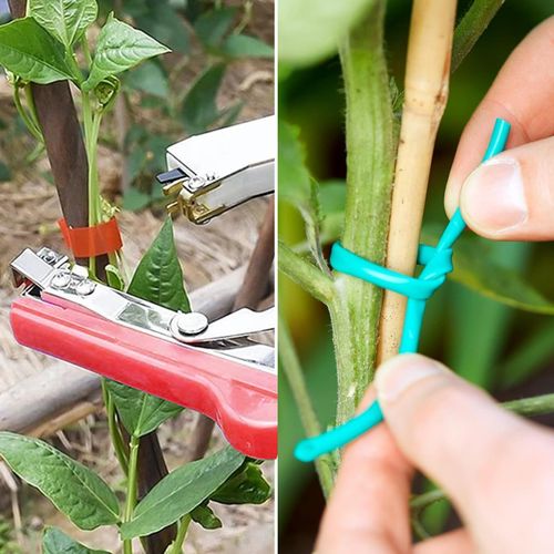 Plant Tying Machine with 10 Rolls Tape Vegetable Tying Gun for Vine, Tomato, Plants