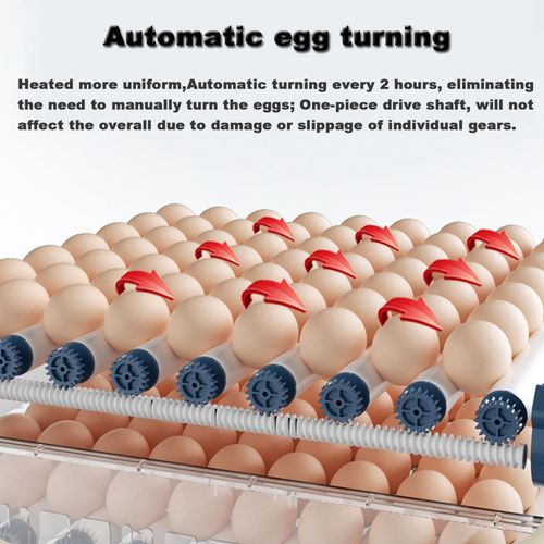 98 Eggs Incubator Small Household Automatic Intelligent Incubator Poultry Waterbed Incubators And Temperature Controler