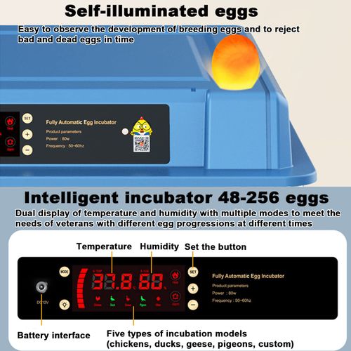 98 Eggs Incubator Small Household Automatic Intelligent Incubator Poultry Waterbed Incubators And Temperature Controler