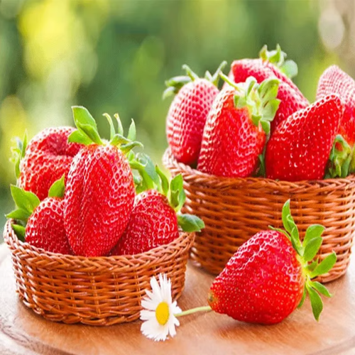 ✨400 four-season strawberry seeds🍓Plant Once, Pick Forever Pot Plant Home Balcony Growing 🍓🍓