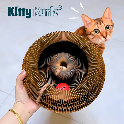 Magic Organ Cat Scratching Board
