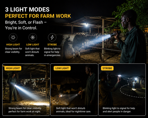 flashlight
