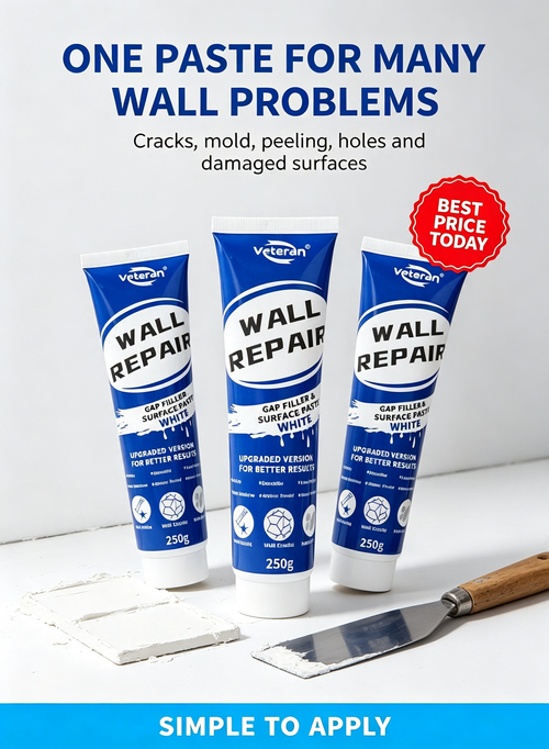 Wall repair paste