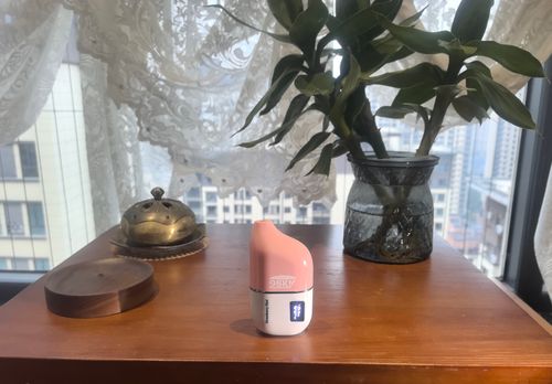 electronic atomizer   vaping device