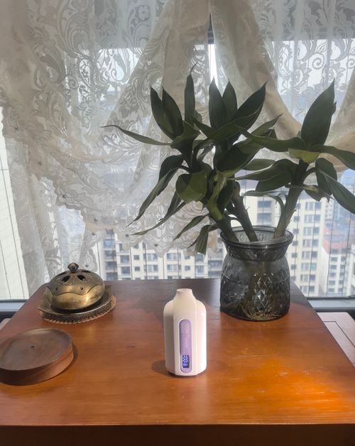 electronic atomizer   vaping device