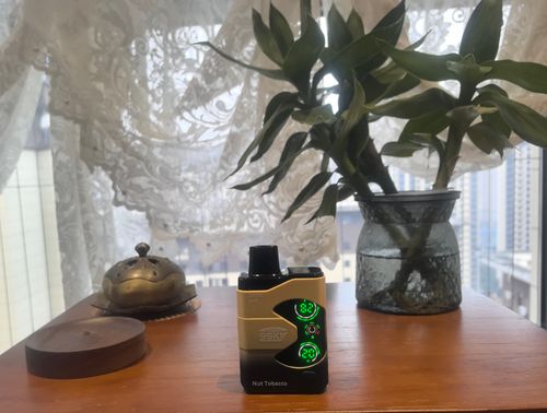 electronic atomizer   vaping device