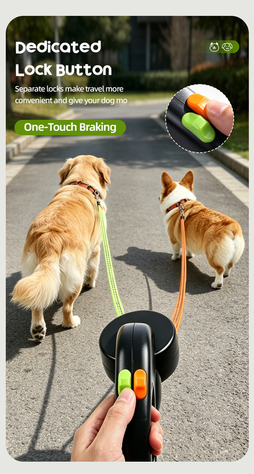 Automatic Retractable Leash for Two Pets