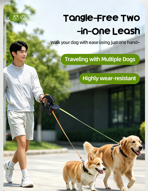 Automatic Retractable Leash for Two Pets