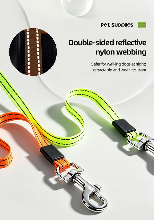 Automatic Retractable Leash for Two Pets